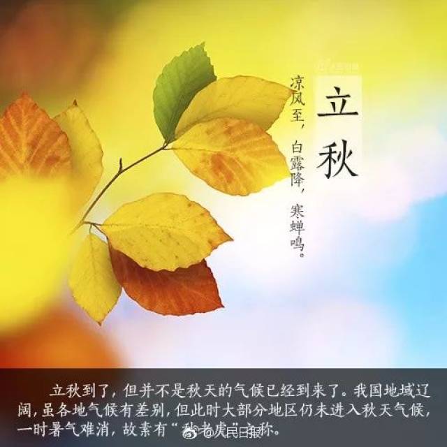 �紵һƬҶ�������Ѿ����������������