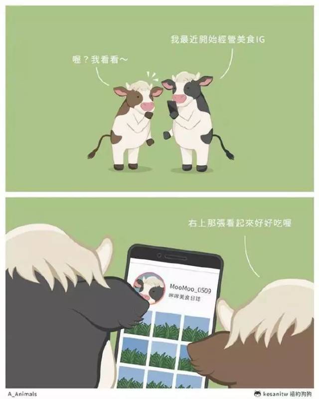 治愈系漫画:动物小清新