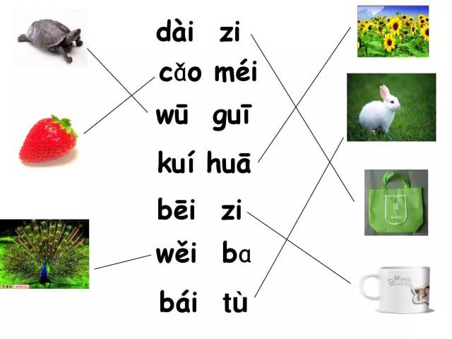 汉语拼音 韵母ui 学习