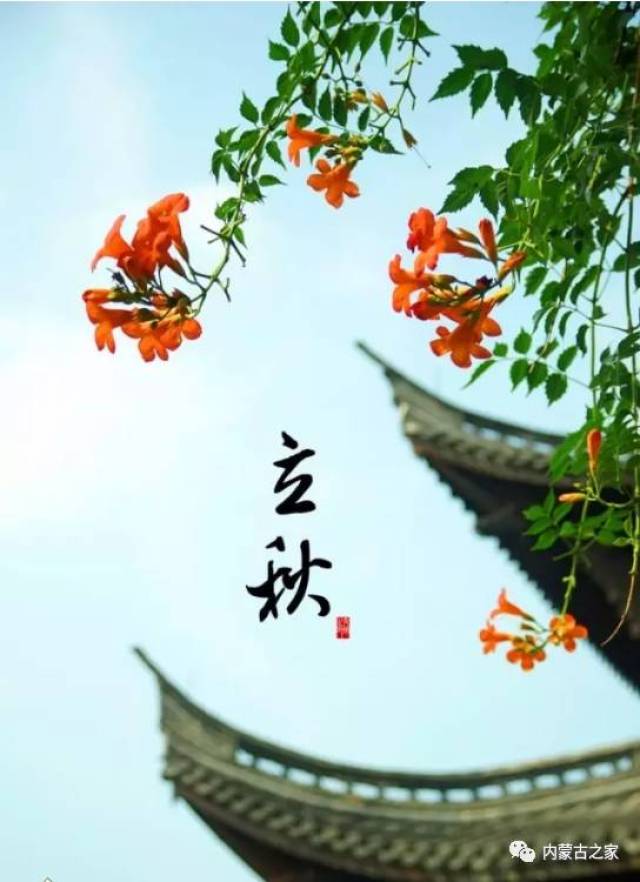今日立秋,口哨《小路》送给亲人和同学们