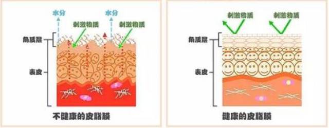 屏障受损!还不自救?烂脸就来不及了!