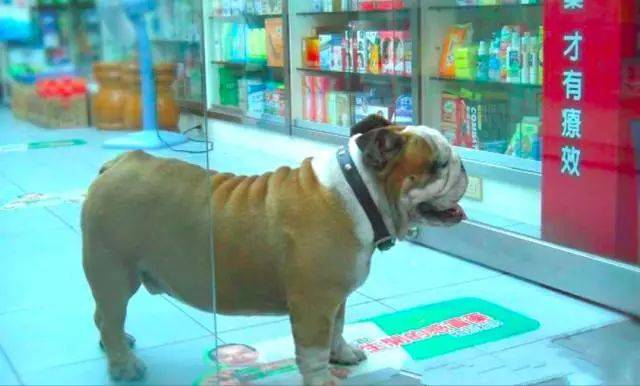 单身狗孤独的十个等级,你在哪一级?