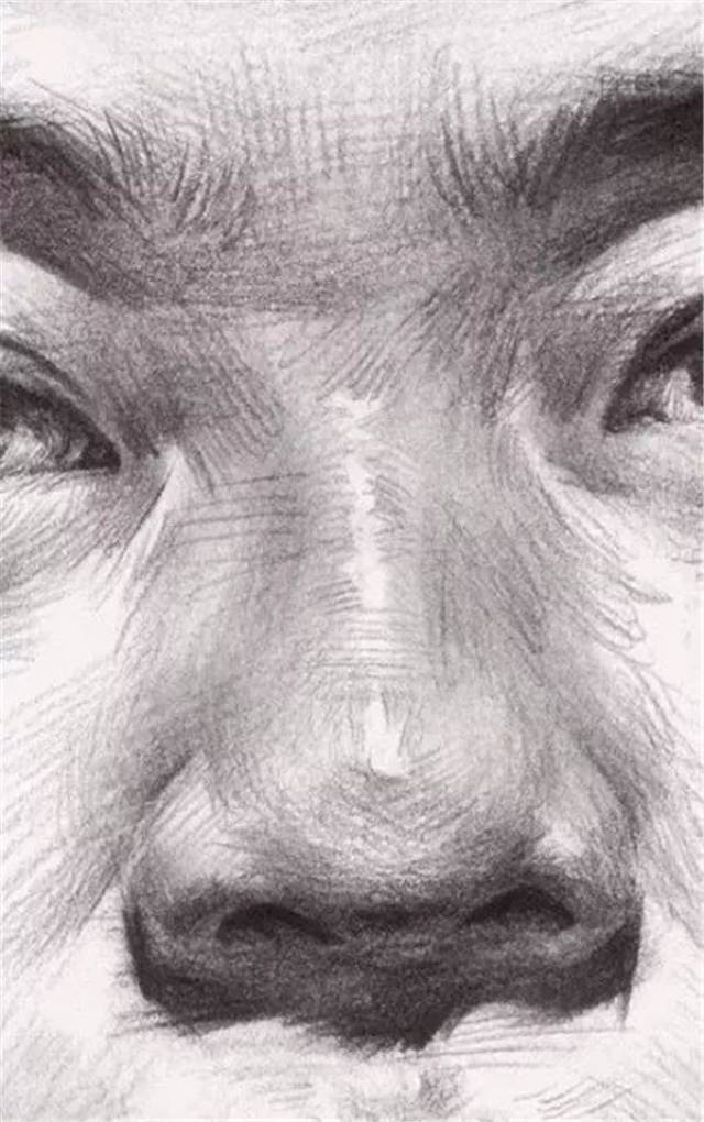 素描局部鼻子全面解析,特征、年龄、各角度怎么画?