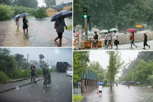 今天早上,一场大雨让很多走进办公楼的人都被淋成"落汤鸡".
