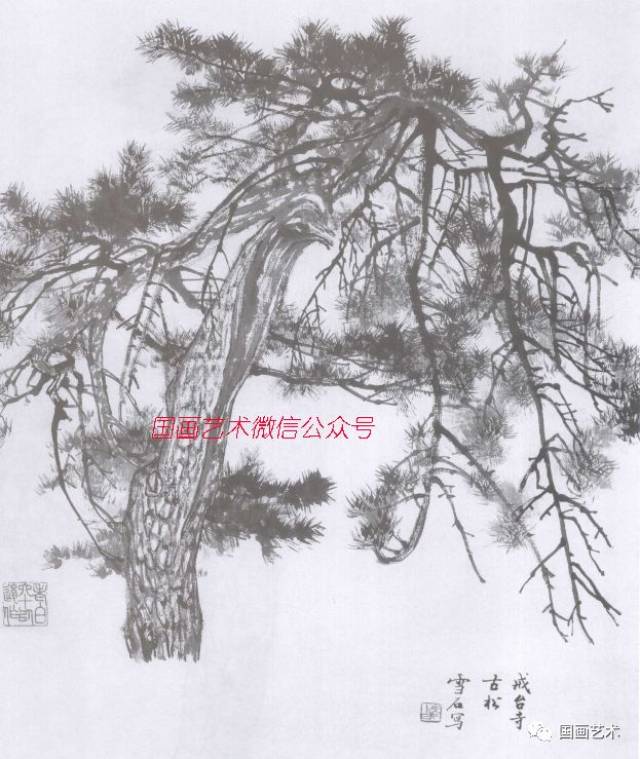 白雪石山水画技法节选:松柏柳的画法分析