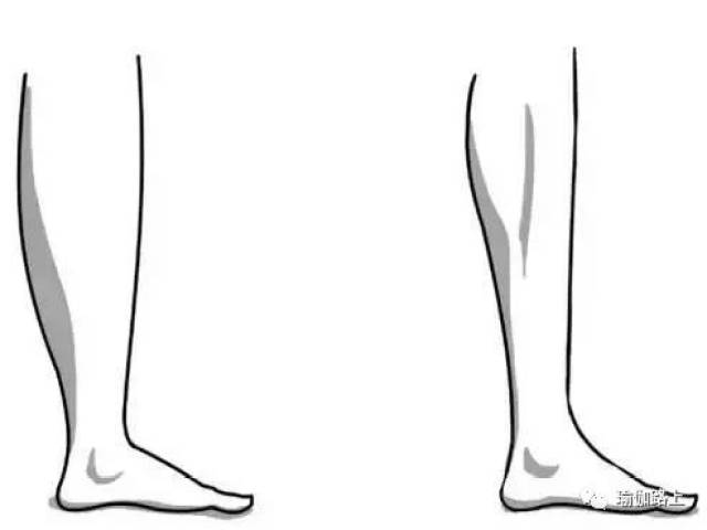 小腿粗?用瑜伽这样拉伸就对了!(收藏级)