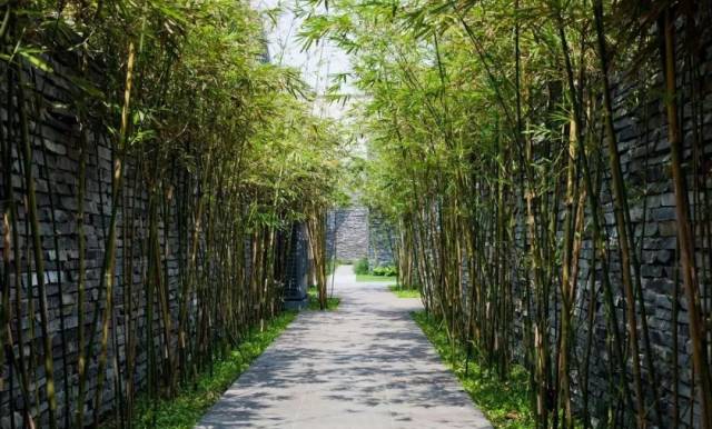 4)垂直植物空间