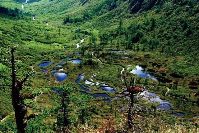 【腾冲徒步6日】腾冲 ,高黎贡山徒步,潞江坝,双虹桥,百花岭,阴阳谷