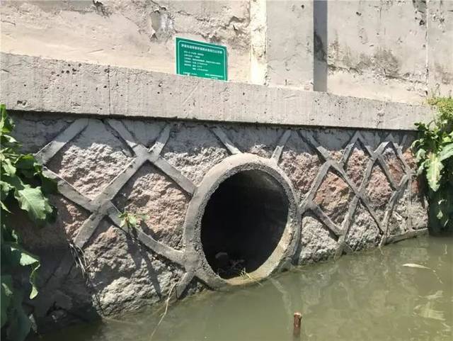环境整治进行时(一百零九 罗星街道开展河道排水口公示牌集中补牌