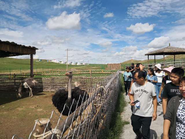 展开剩余 49 据了解:诗画草原度假旅游区位于达茂旗巴音敖包苏木达