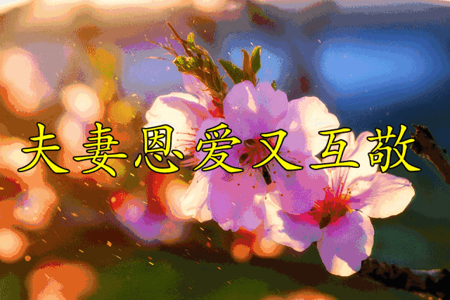咱,一家人