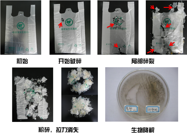 可降解塑料袋的前世今生