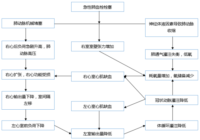 急性肺栓塞心电图改变的病理生理学机制