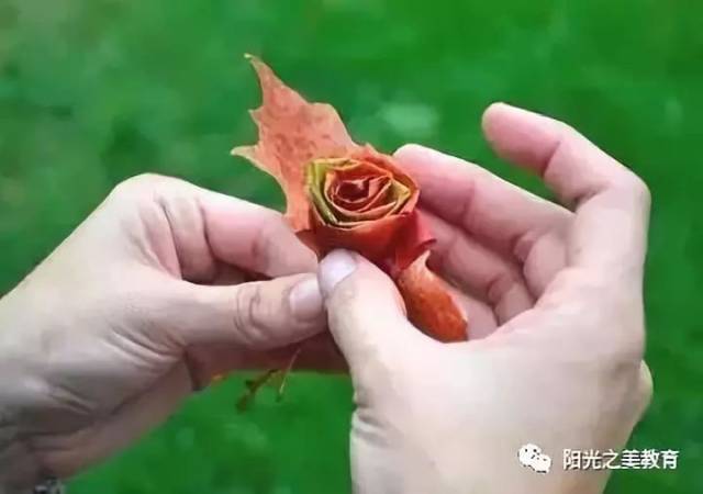 【今日立秋】创意树叶手工,让我们一起走进秋天!
