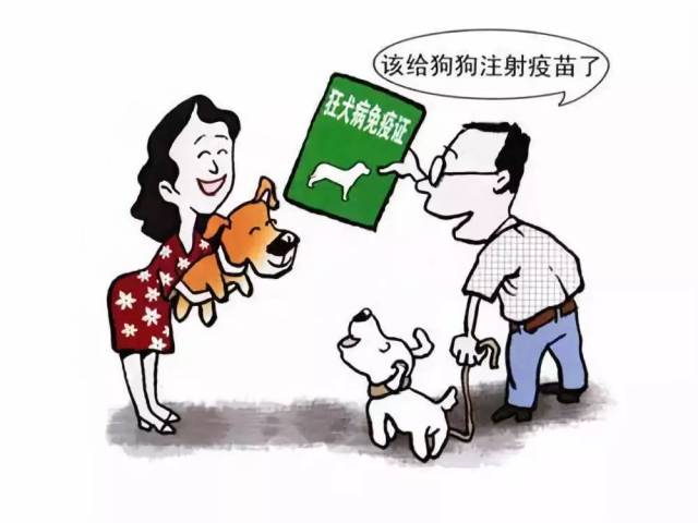 【重磅】@昆区家长,你关心的狂犬病疫苗续种补种答问指引,请收好!