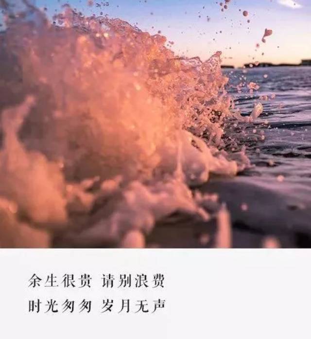 推荐人江丽媛 (团县委) 《余生很贵,请别浪费》 谧娘
