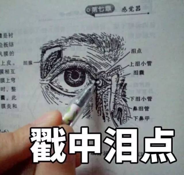 连摸摸头都是毛骨悚然的感觉