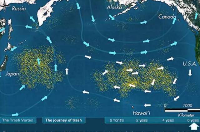 前几天 在一片垃圾的海洋里 印度摄影师拉着一位美丽女孩的手