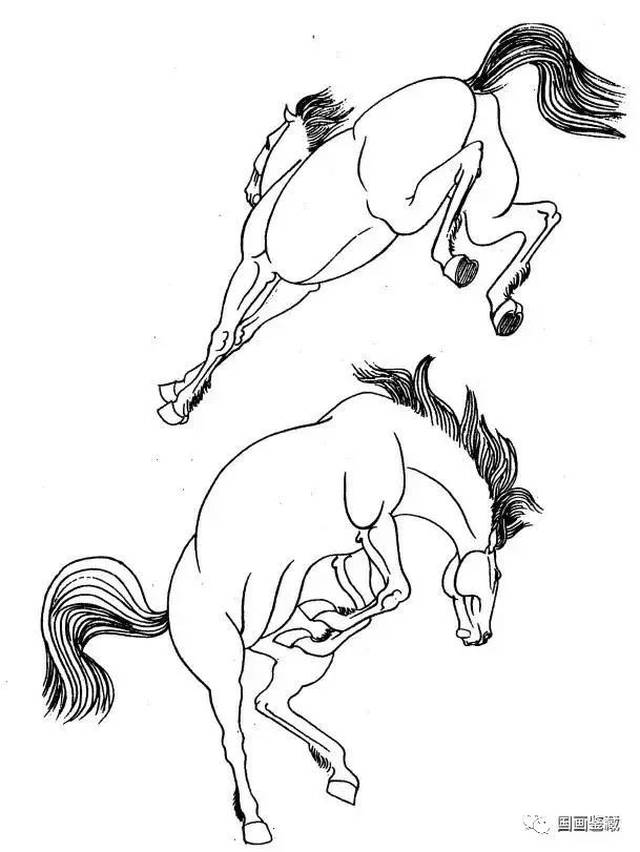马的运动规律,画马超级教程:画马技法