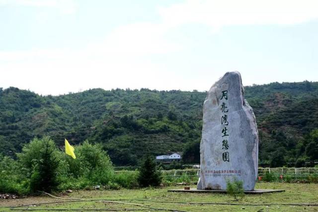 旅游频道-手机搜狐