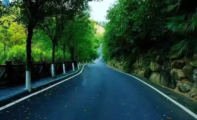 一条安全,舒适,优美的风景区道路应如何规划与设计?
