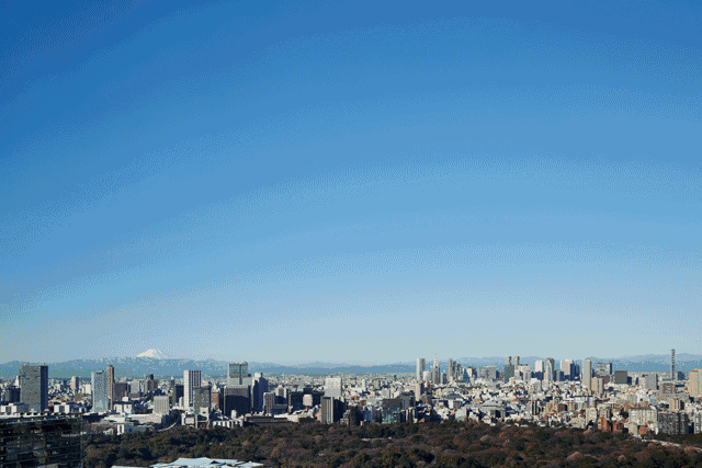 东京安缦|繁华都会中,邂逅绚丽初秋_手机搜狐网