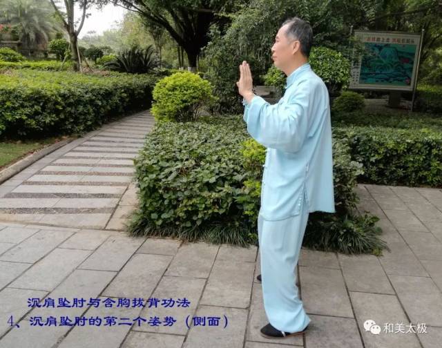 【陈雄聊太极拳95】含胸拔背与沉肩坠肘的练