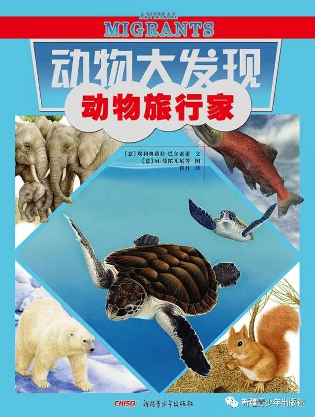 限时拼团 | 《动物大发现》,发现你不知道的动物秘密!