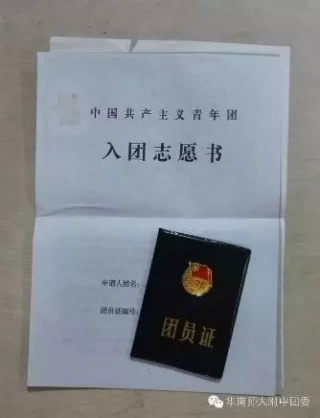 一般来说里面所含有的材料会标记在档案袋封面上,如果团员证或志愿书