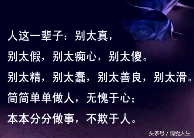 以前揣着糊涂装明白,现在揣着明白装糊涂「超经典」