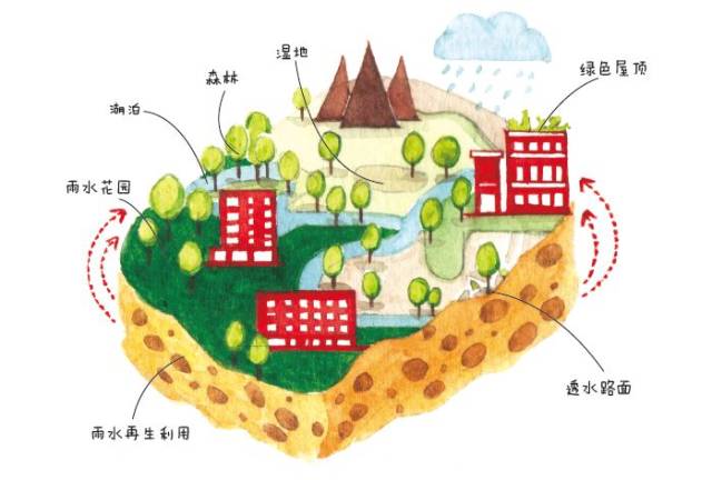 《设计我们的海绵社区》——中小学综合实践活动课程教辅