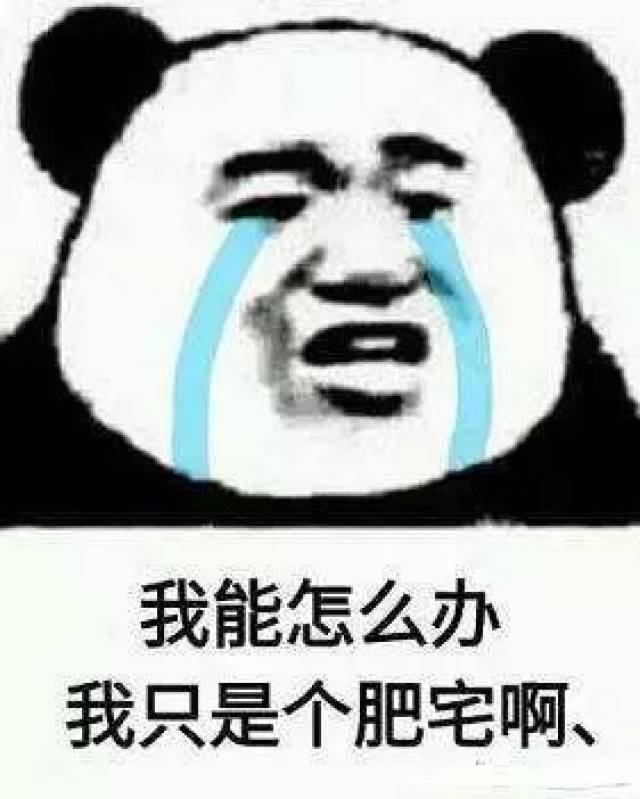 其实,你们对肥宅的力量一无所知