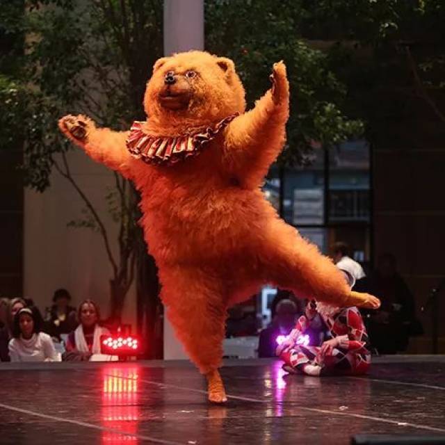 一只会跳芭蕾舞的