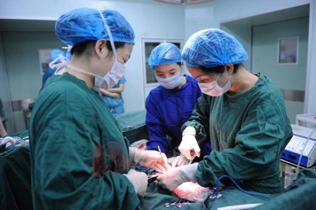 5cfe7ff157794e449fa45ac179985f31.jpeg
