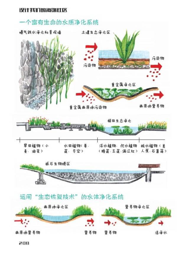 《设计我们的海绵社区》——中小学综合实践活动课程教辅