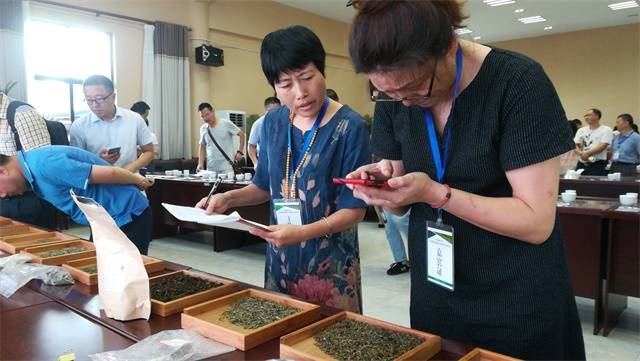 蒙顶黄芽敬高朋 中国茶叶学会第六届茶叶感官审评研究