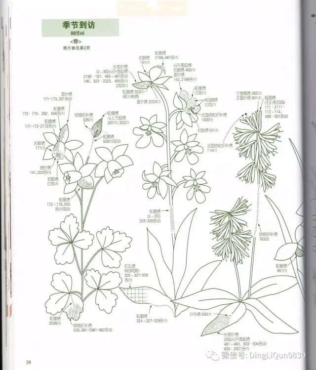 【刺绣教程】绝美刺绣——风中山野草2(中文收藏版)