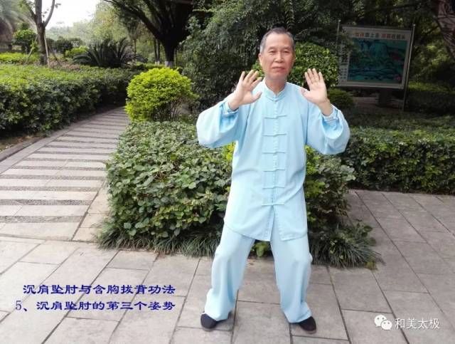 什么是沉肩拔背 e9d0d5c1fabc4cc58b0160d51e7cc4bb.jpeg