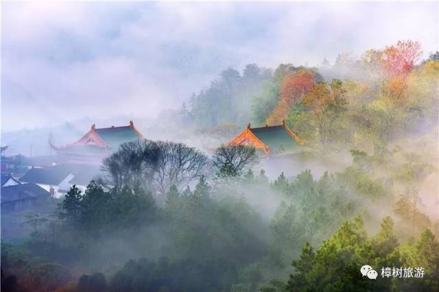 说到樟树,首先想到的就是药业, 殊不知工业基础雄厚的樟树, 旅游风情