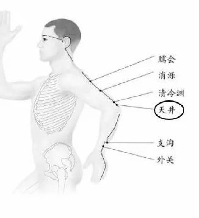 养生小细节: 每天敲打手少阳三焦经穴,对调节内分泌,排气都作用巨大.