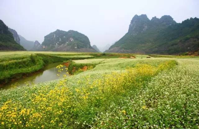 这些广西著名景点,你还有哪些没有打卡| 旅行