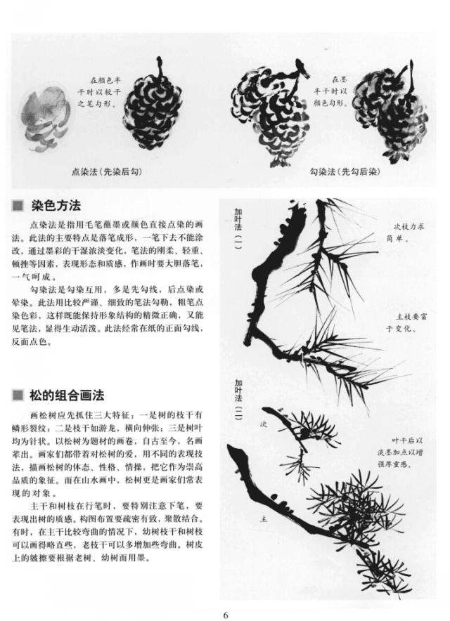 中国画技法基础教学:松树的画法详解,松树的结构与形态分析