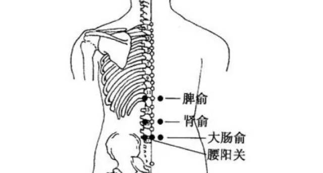 立秋肠胃艾灸取穴 1,脾俞,大肠俞 另外,夏秋交替之季,要注意防范急性