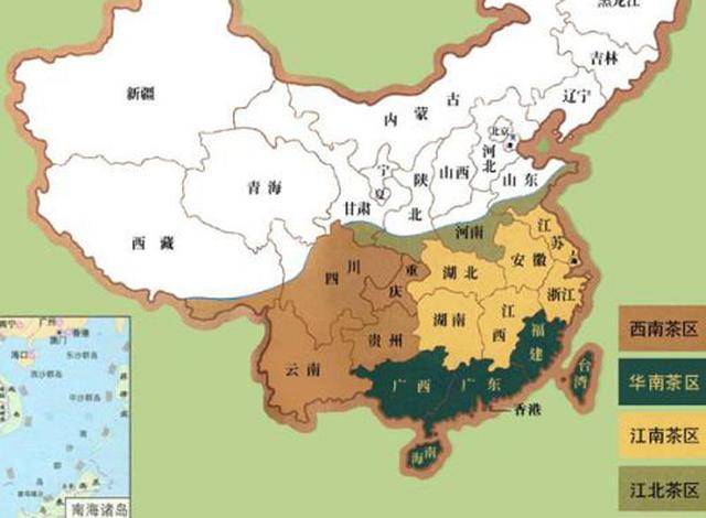 承艺茶叶文化:知道吗?我国西南茶区是茶的真正起源地图片