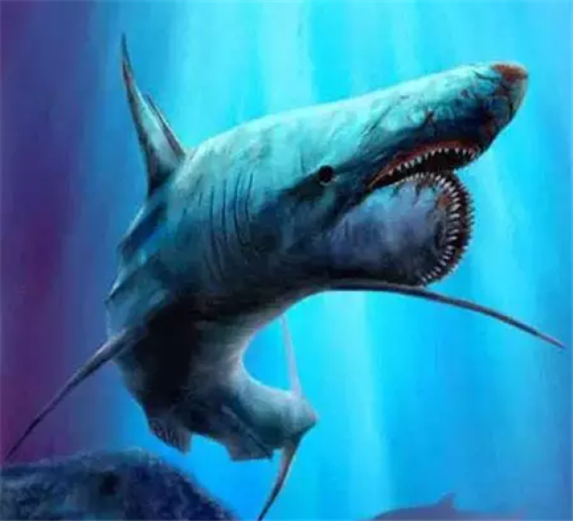 10个惊人的巨齿鲨传说 史前最恐怖的五种鱼类,巨齿鲨一口就可以吞掉