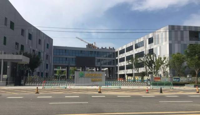 合肥市望湖小学洞庭湖路校区 ③诗意栖居的自然生态 没有景观,没有