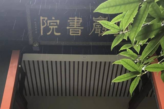 灵岩山"不插电"读书会_手机搜狐网