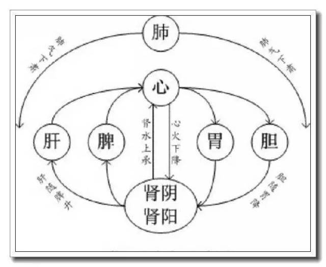 王四进经方讲座-3-四圣心源(下)