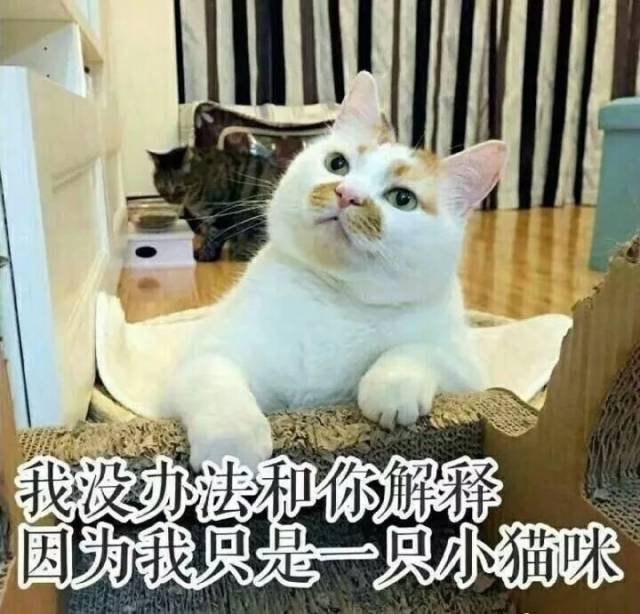 a6978e4deb1440fab9ec8fd25b6a9031.jpeg