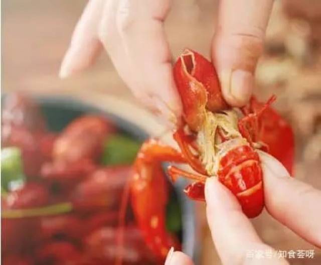【964l乐生活】剥小龙虾正确方法:只需4步,就可吃到完整虾肉